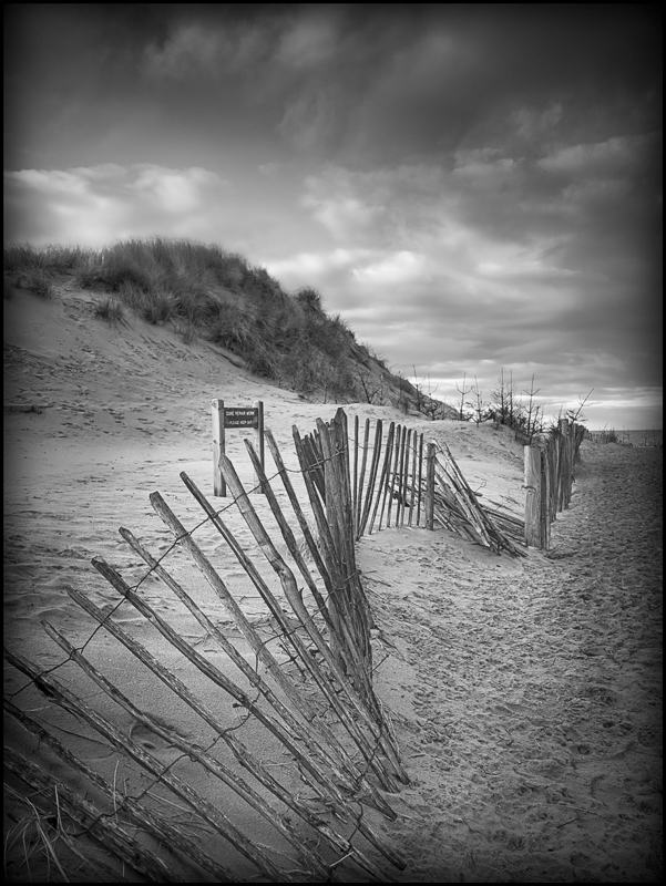 I like this image. It has nothing to do with the blog that follows for reasons I will explain.