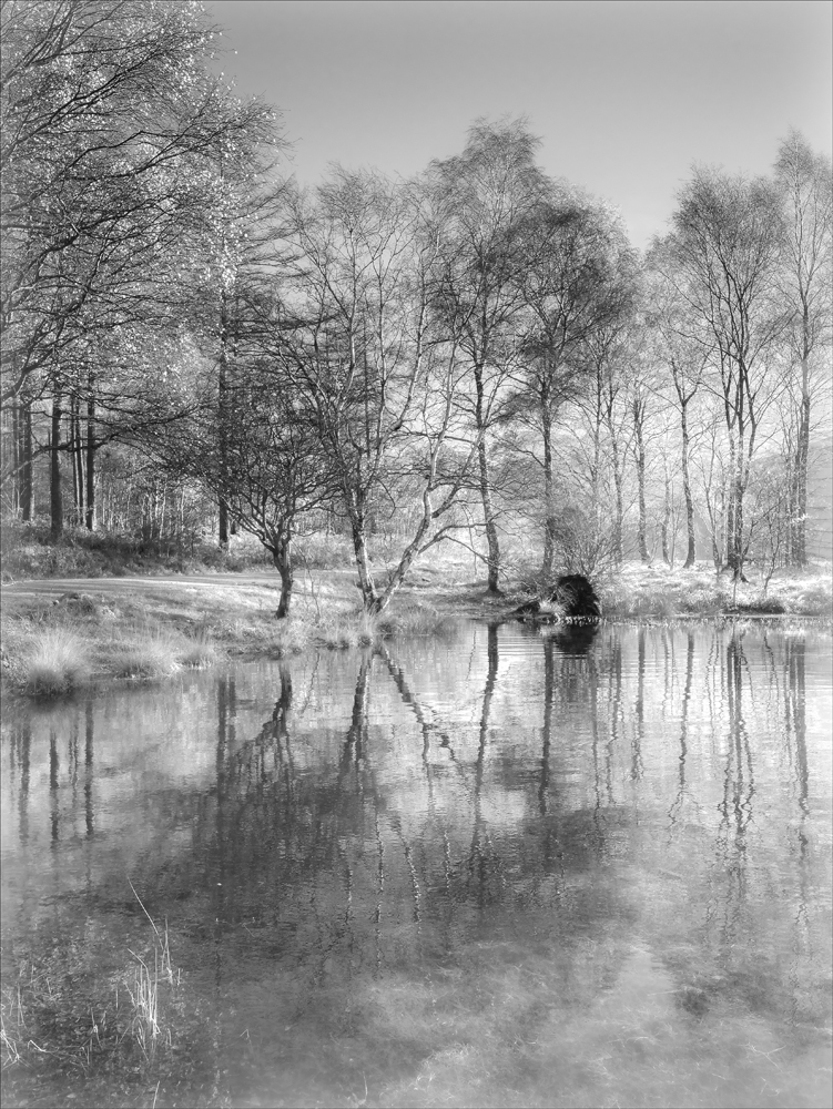 Infrared effect in Lightroom