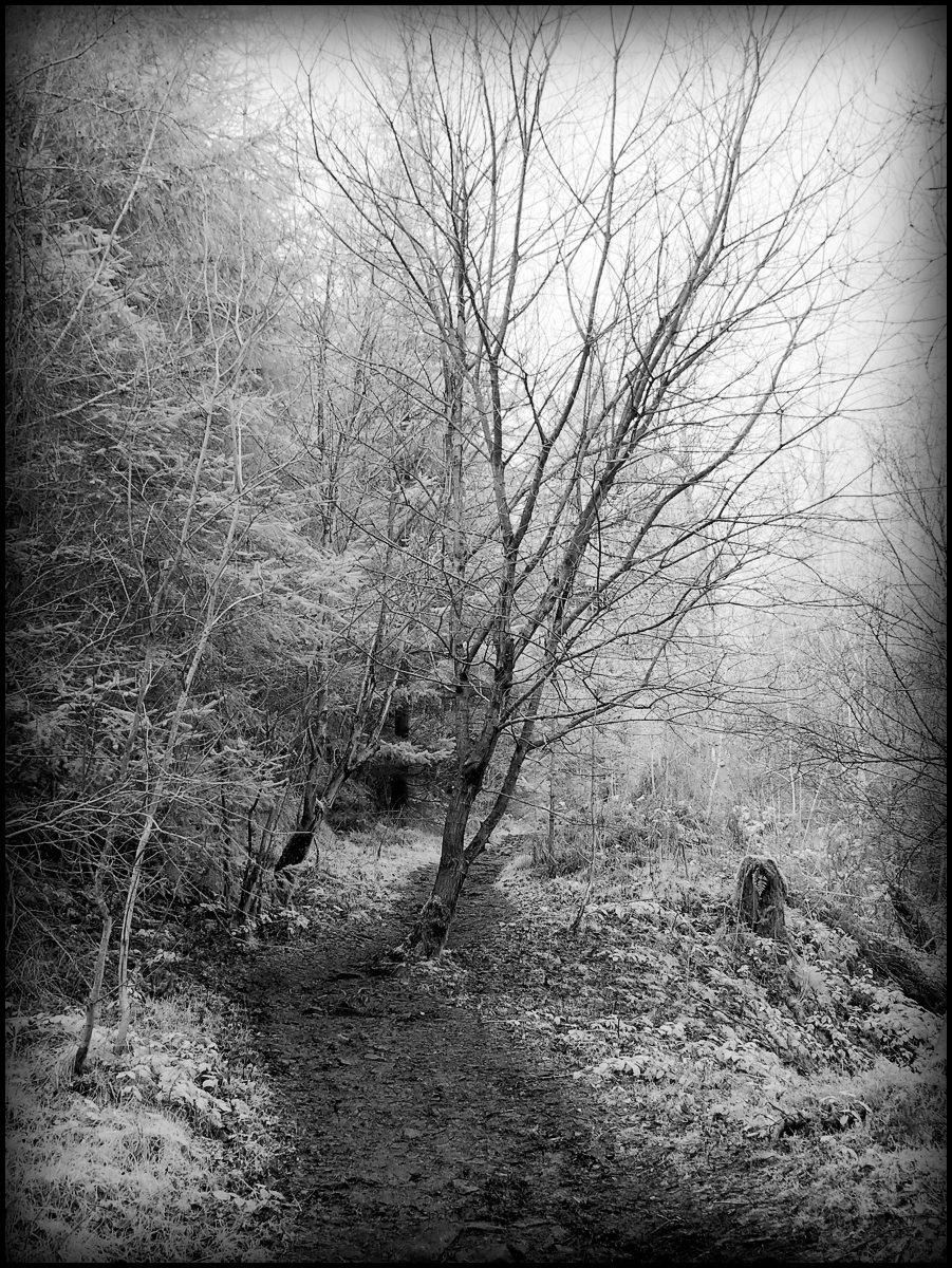 Early shot testing out my newly converted Infrared GX1