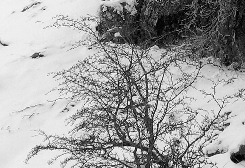 Sample 3. Click to view at 100%.