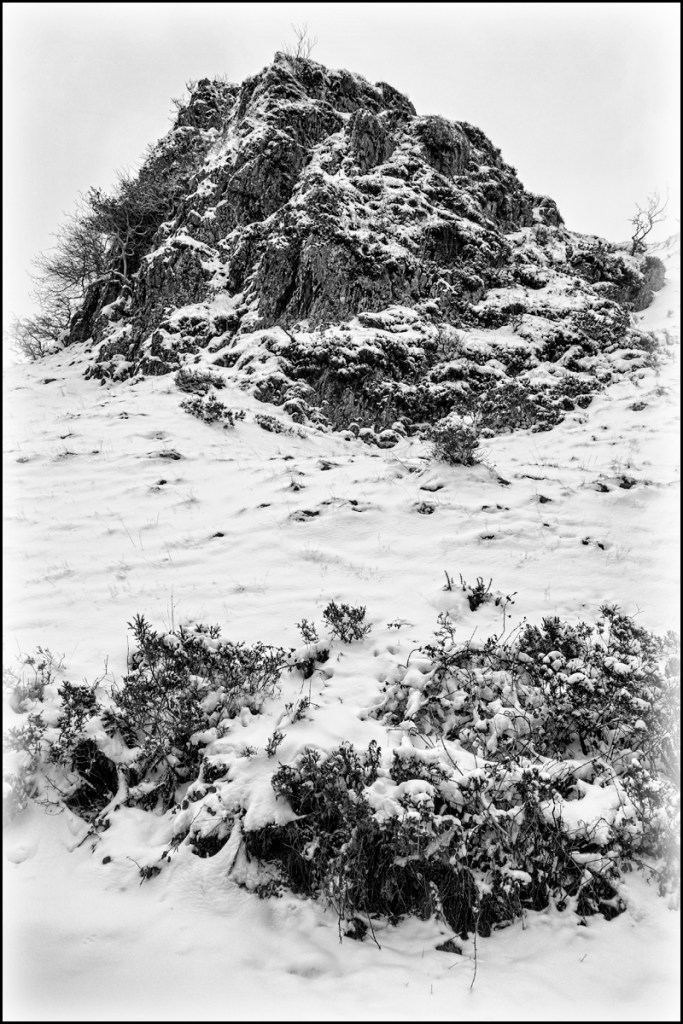 Another very deatailed scene captured with the RX100. Fine details have been well rendered but its easy to push things too far