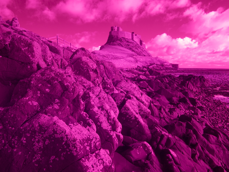 Rely on your cameras auto white balance and Lightroom and this is what you get