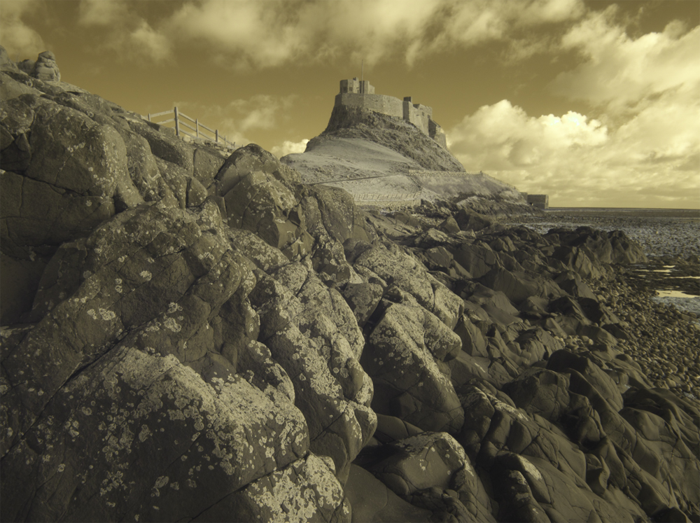 The correct white balance converted in SilkyPix is much better and almost right