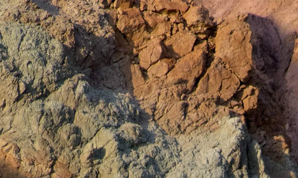 PhotoNinja conversion at 100% with some sharpening.