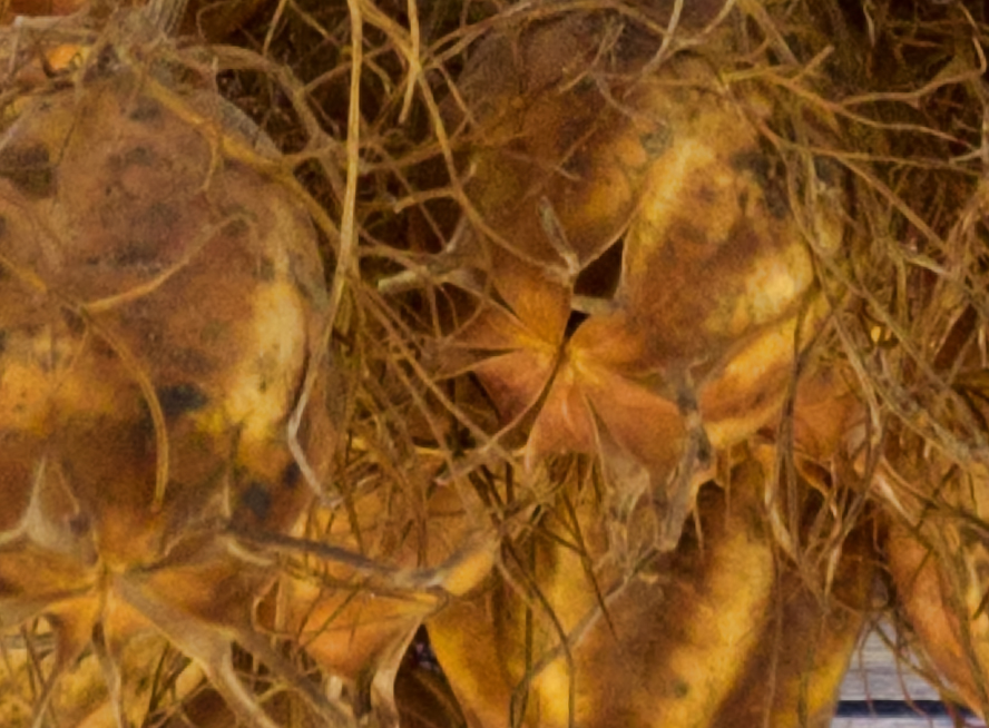 Sample from the above file at 100%. Click to see the full resolution.