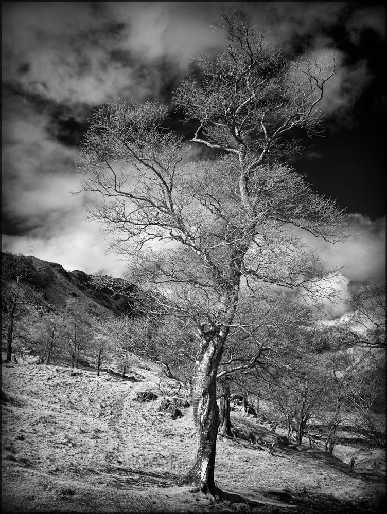 GX1 infrared converted camera with 14-45mm lens. Conversion to Monochrome in Silver Efex Pro with RAW conversion in PhotoNinja.