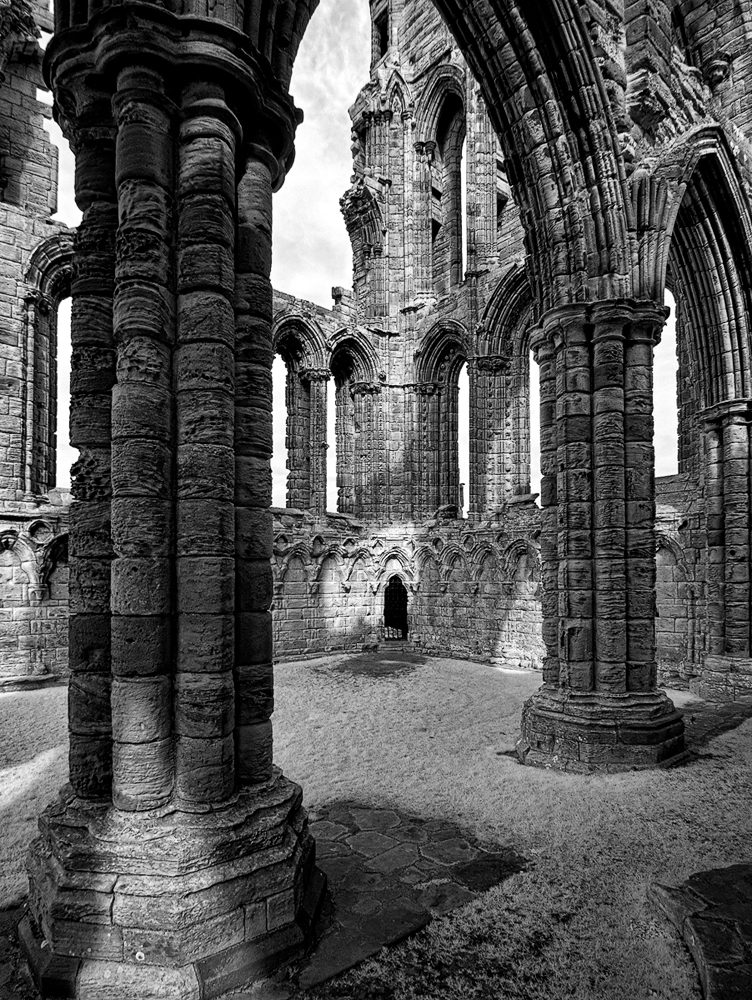 GX1 Infrared image using 14-45mm lens and converted with PhotoNinja and Silver Efex Pro.