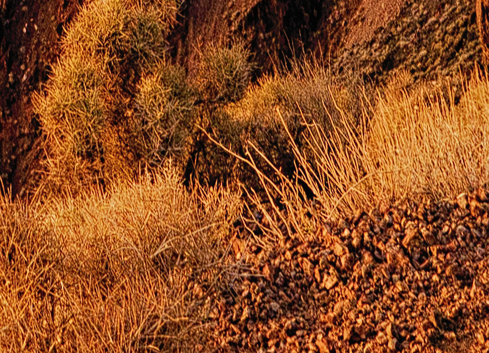 Image section at 100% magnification following a 200% size increase in Akvis Magnifier.