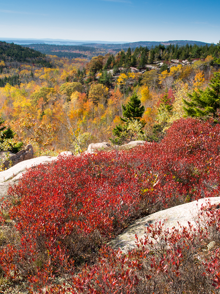 Fall colours in Acadia National Park. Captured on an Olympus OMD EM5 camera with Panasonic 14-45 lens.