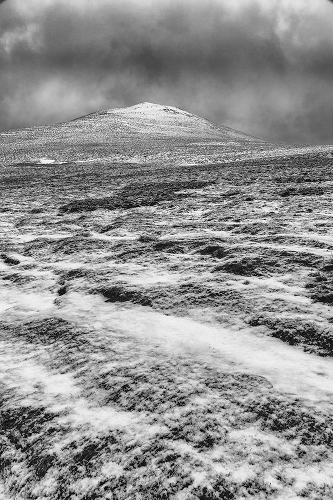 And for fans of B&W, here is the first image processed in Nik Silver Efex.