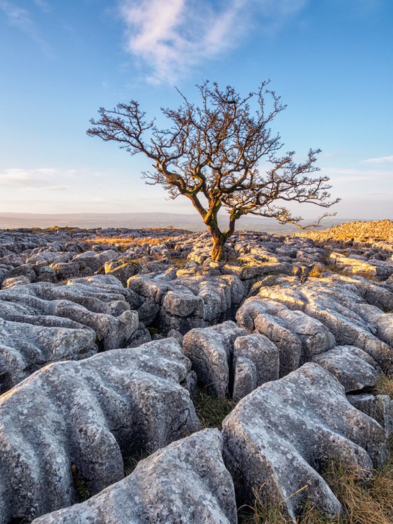 Captured with the Olympus OMD EM5 and Olympus 9-18mm lens.