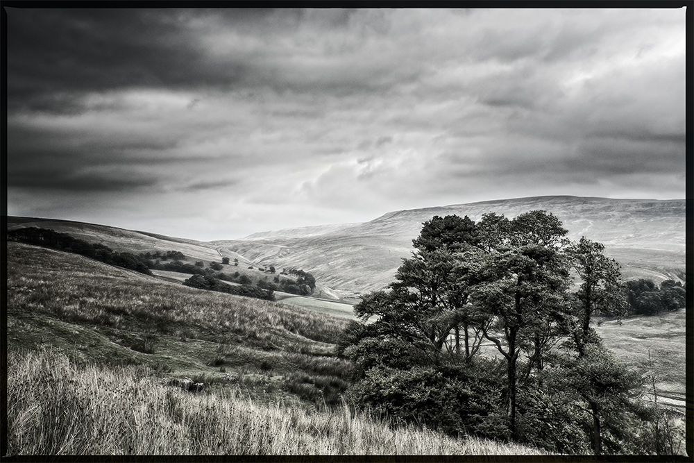 One of my old Sony R1 images processed in Perfect Effects. The software creates a nice artistic effect.