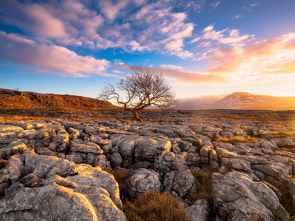 Wonderful morning light. Captured using an Olympus EM5 and Olympus 9-18mm lens (my favourite lens for landscape work).