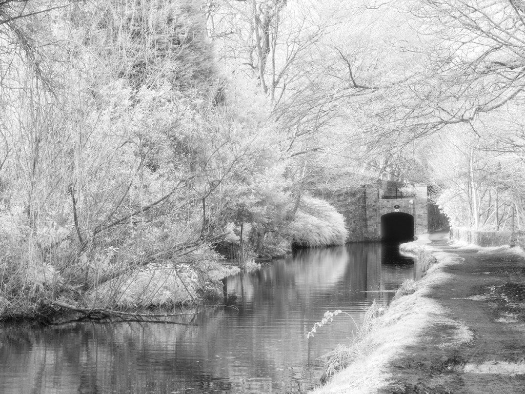 Canal near to my house. Shot on an IR converted GX1 but with an IR850nm filter on the lens. Halation effect added in Photoshop.