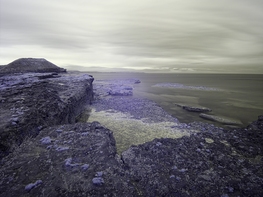 Image prior to conversion in Nik Silver Efex Pro