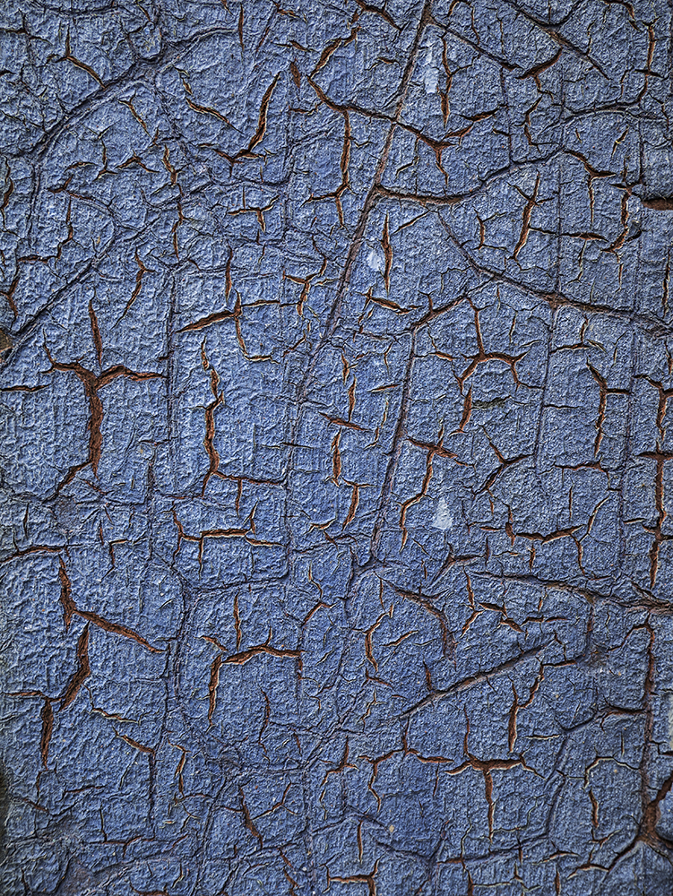 2014-05-10 RWhalley_GM1_2014_05_1000351