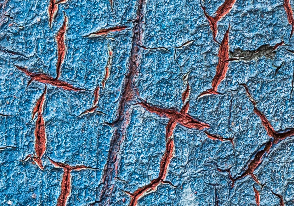 Image section at 100% magnification