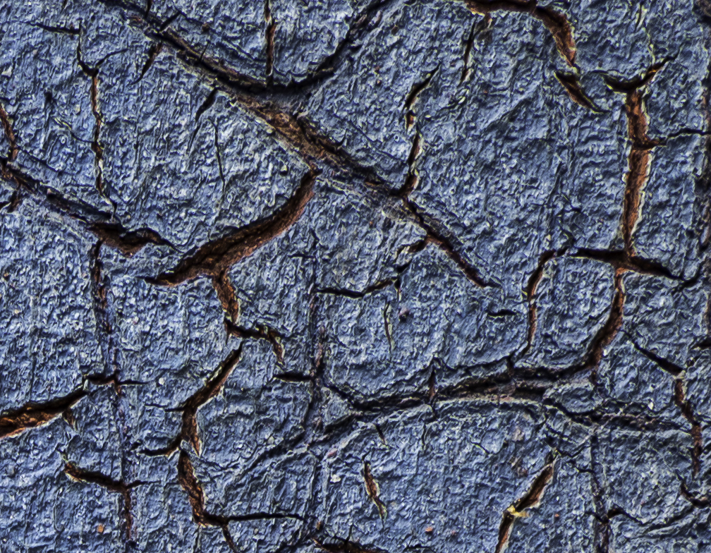 Corner section of the image at 100% magnification