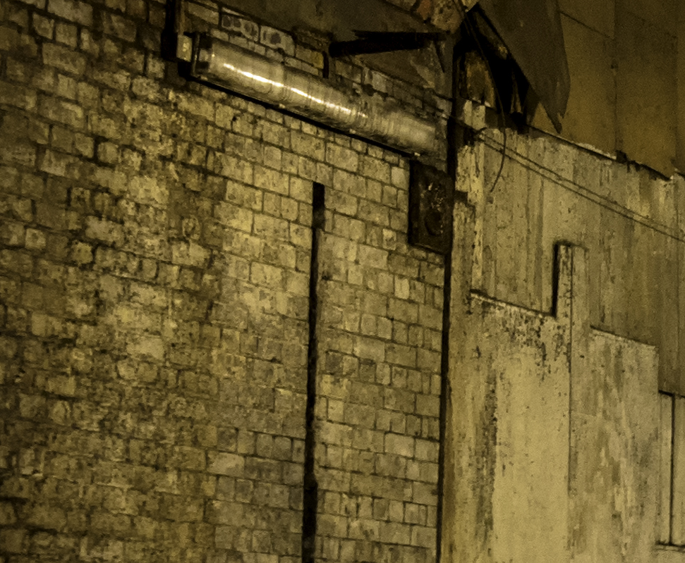 Section of the image at 100% magnification prior to processing.