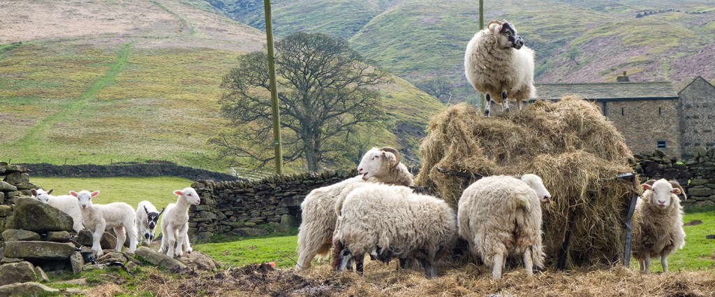 Image captured on the Sony RX10 and converted in Lightroom using the new Colour Profile I created.