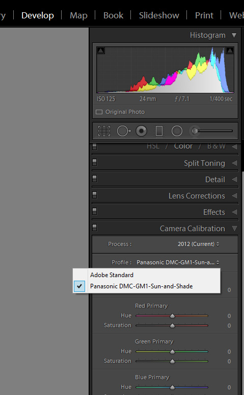 Lightroom Camera Profile found under the Calibration section of the Develop Module
