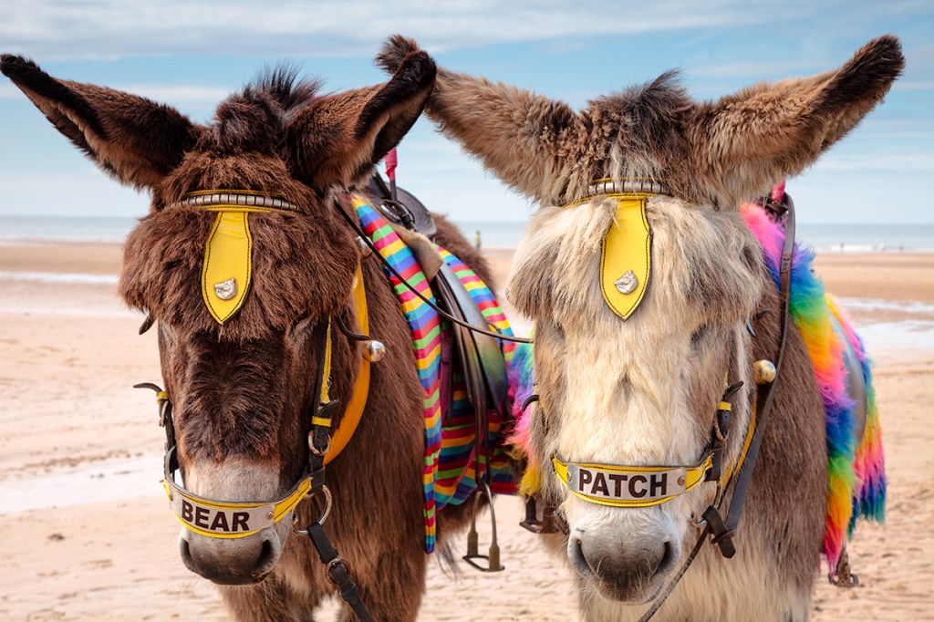 For someone very special