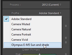 ScreenHunter_1207 Aug. 03 20.39