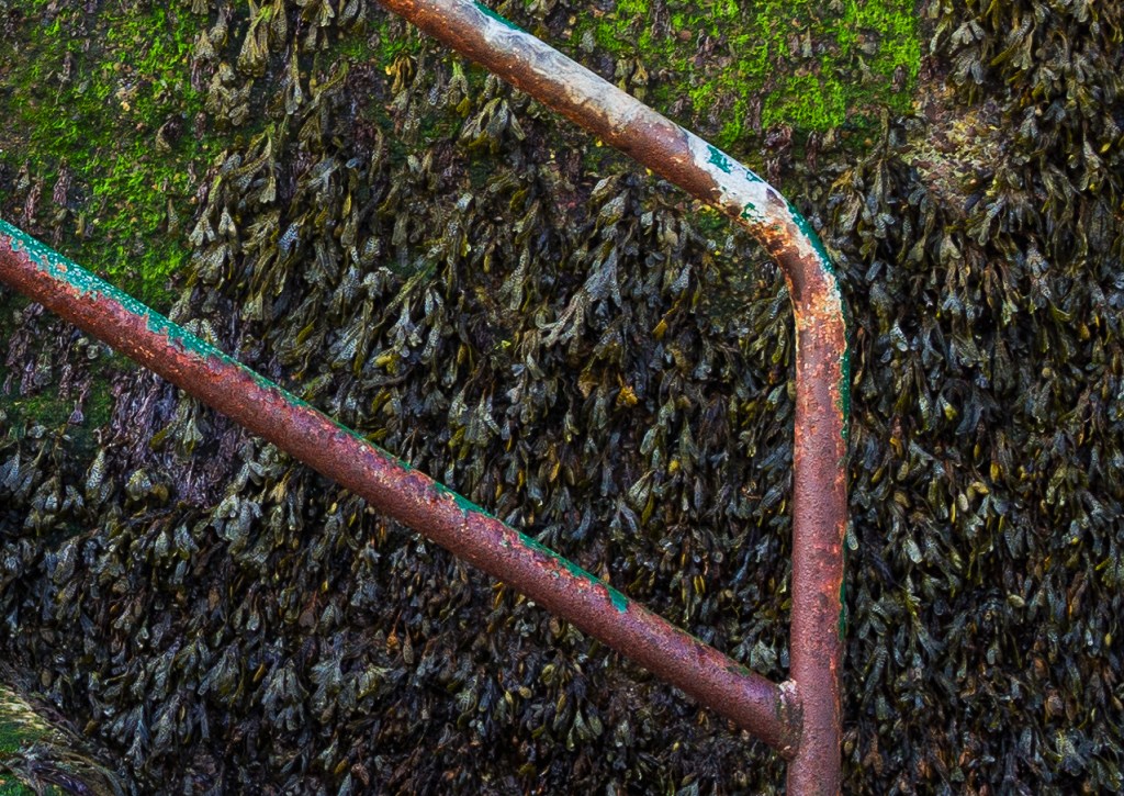 100% magnification. Click to zoom in fully.