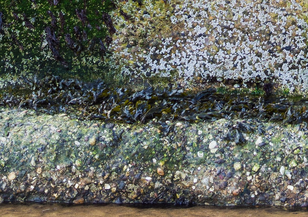 100% magnification. Click to zoom in fully.