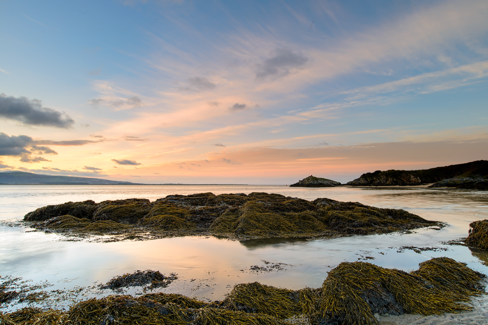 14-12-01 RWhalley_D800_2014_11__RNW0431