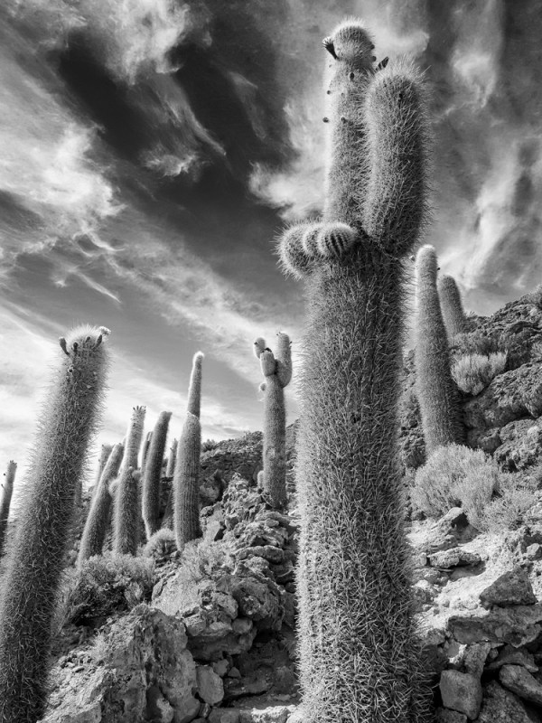 Olympus OMD EM5 + Olympus 12-40mm lens. f/7.1, ISO200, 1/400" shutter speed