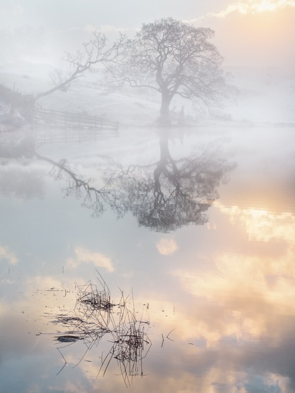 Loughrigg Tarn, The Lake District. Olympus EM5, 12-40mm lens. F/8.0 1/80 second