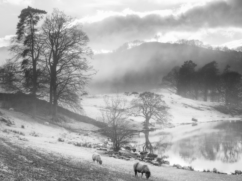 Olympus EM5 and a misty day in the Lakes