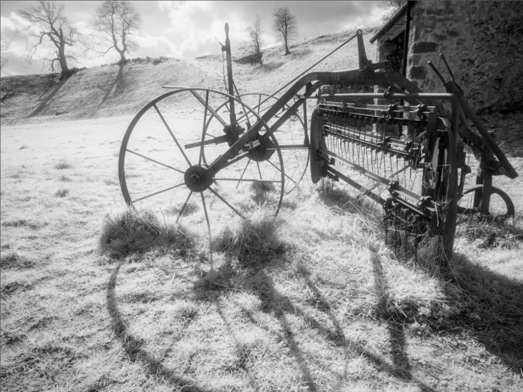 Processed in Alien Skin Exposure 7