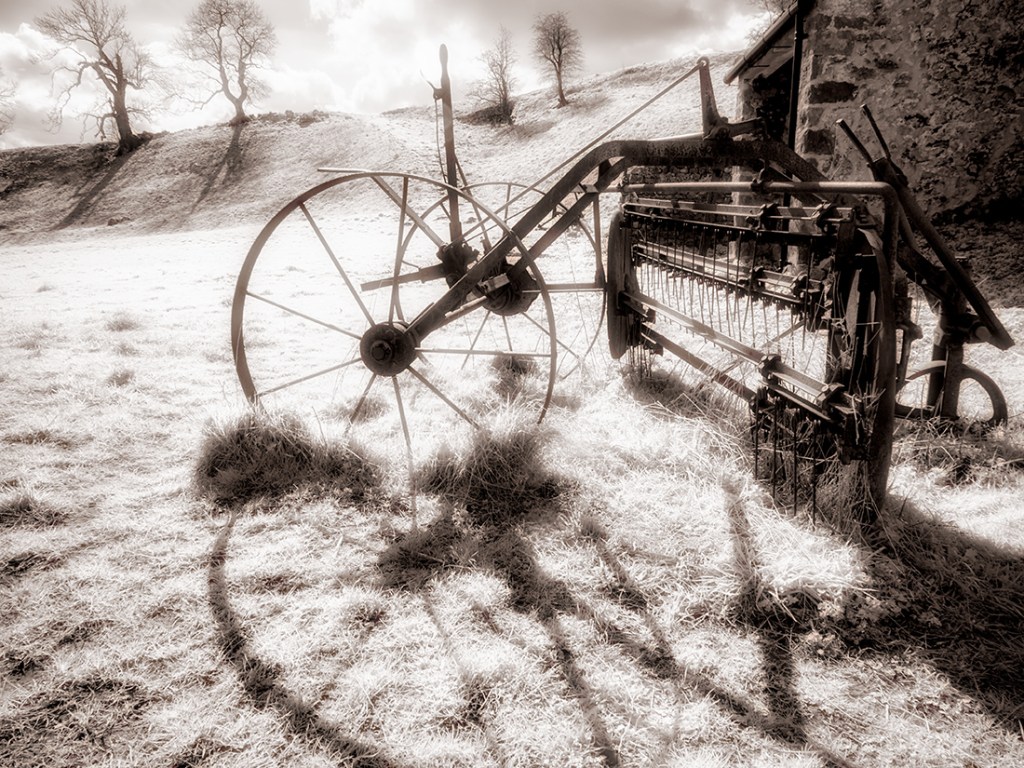 Olympus EM5 Infrared with processing in Exposure 7 and Nik Color Efex Pro