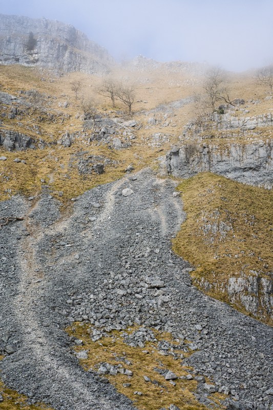 Sony RX10, ISO80, f/5.6, 1/320"