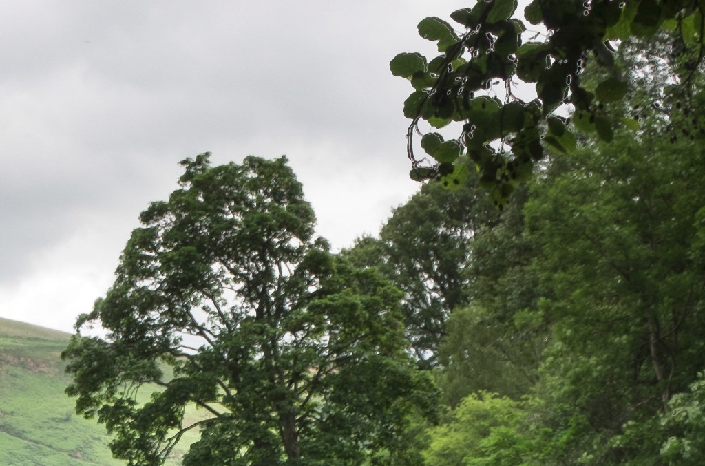 Lightroom HDR at 100% magnification showing ghosting