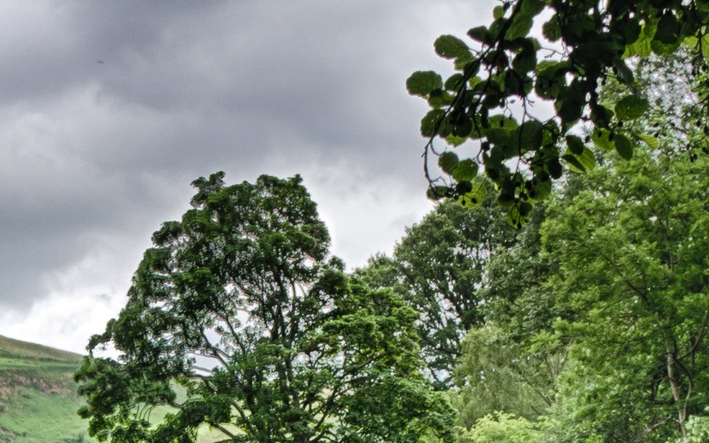 Nik HDR Efex at 100% also showing ghosting