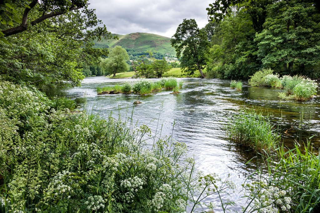 Sony RX10, ISO80, f/5.6, 1/40"