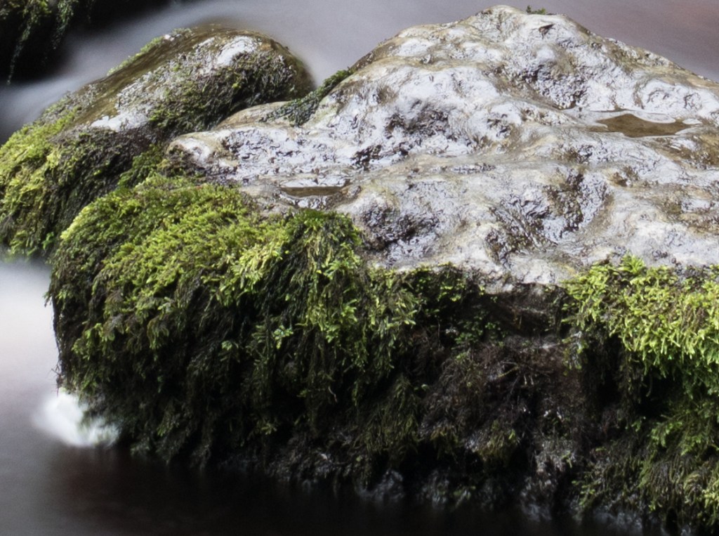 Canon G7X Sample 1 at 100%