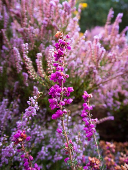 Canon G7X, ISO125, f/2.8, 1/160