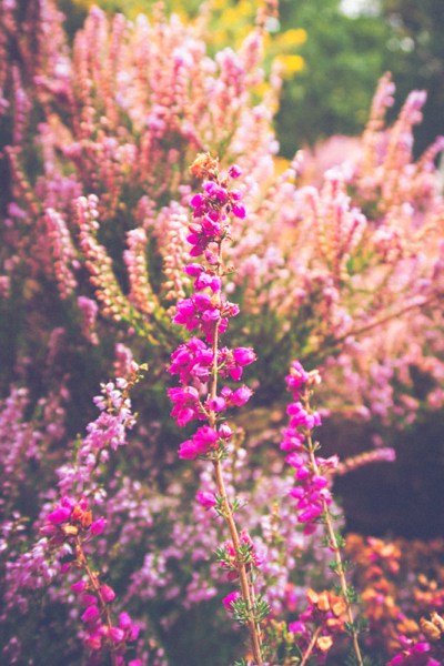 Yellow/Blue Tone Preset