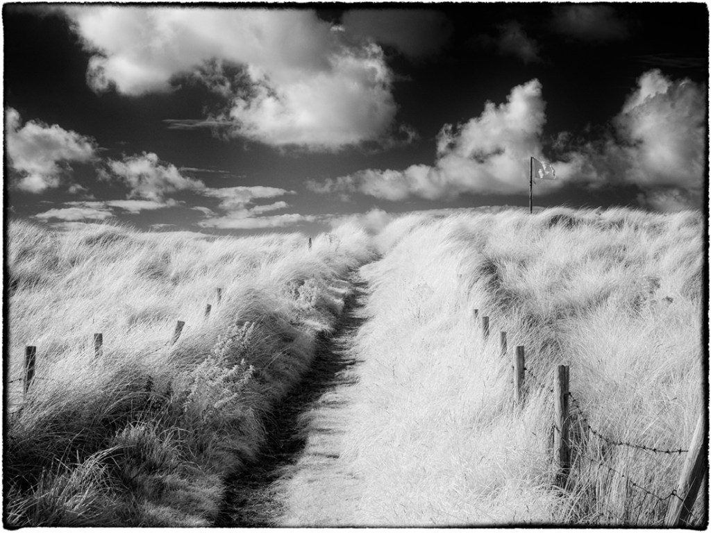 Path to the Beach, North Wales. Olympus EM5 converted to shoot Infrared using 665nm filter. Post processing in Nik Silver Efex Pro.