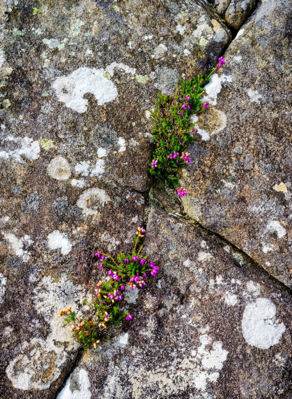 Sony A7r with Canon 16-35 lens at f/14.0