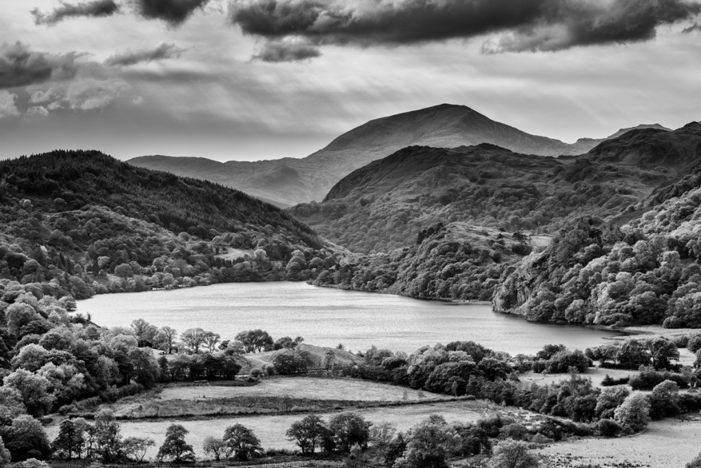 Sony A7R with Canon 70-200L.