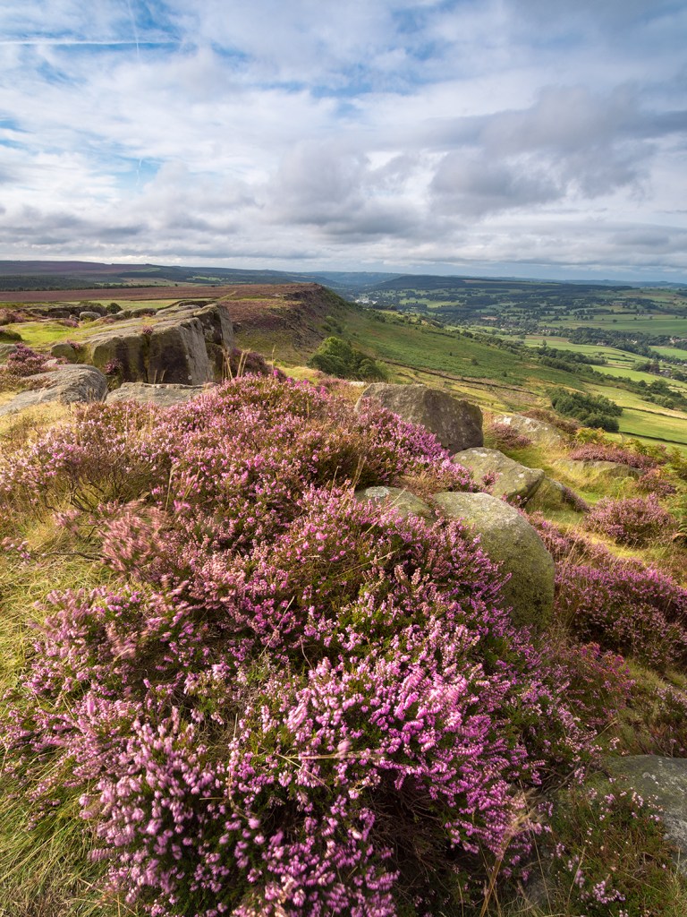 Focus stacked image in Helicon Focus. Two Images combined. Both shot at F/8.0 on an Olympus EM5. One image was focussed on infinity whilst the other was focussed on the foreground.
