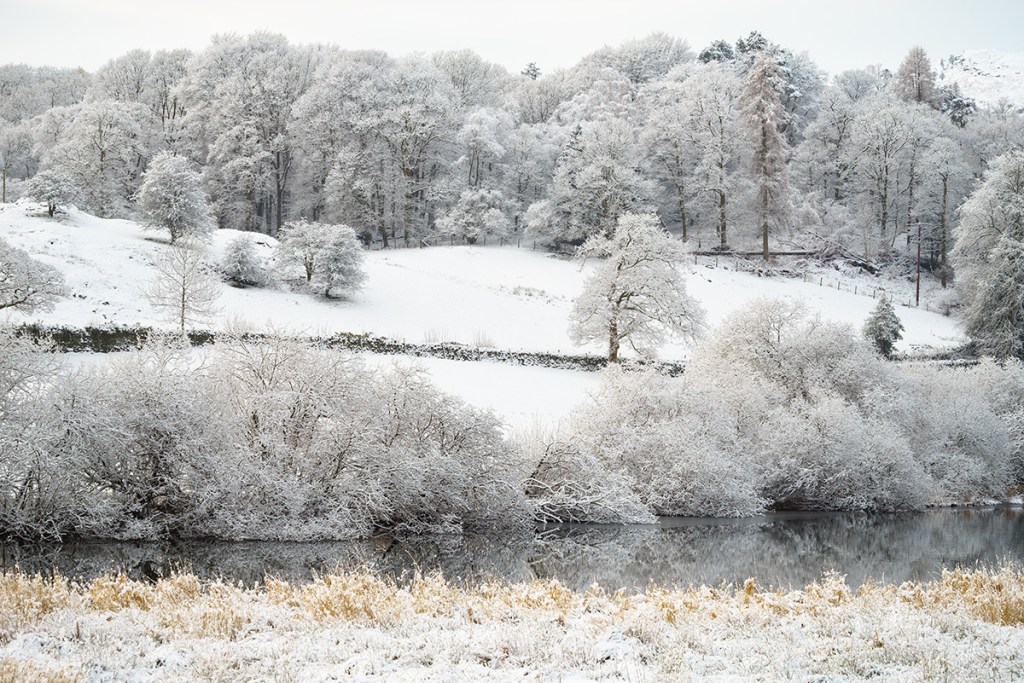 Snow covered trees in the Lake District. Sony A7r, ISO100, f/14.0, 1/40".