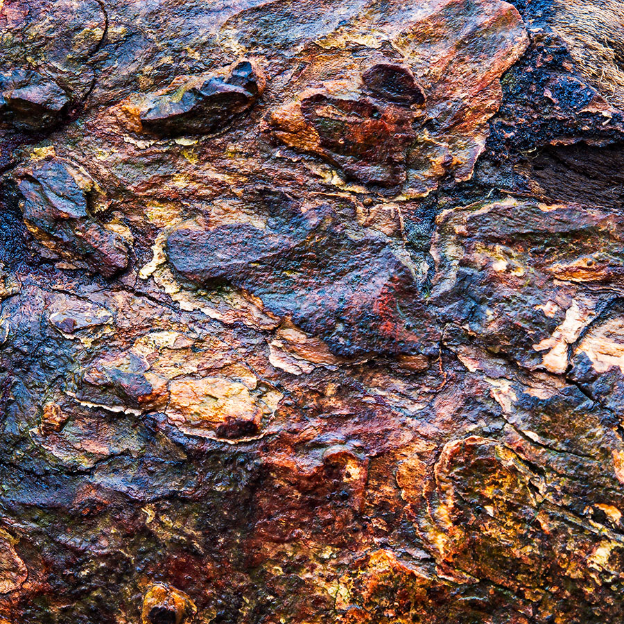 Wet tree bark. Captured witht he Olympus EM5 + Olympus 12-40 lens. Post processing with OnOne Effects.