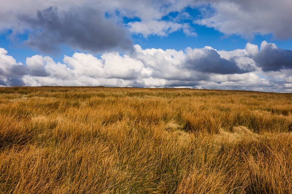 Moorland near to Blackstone Edge.