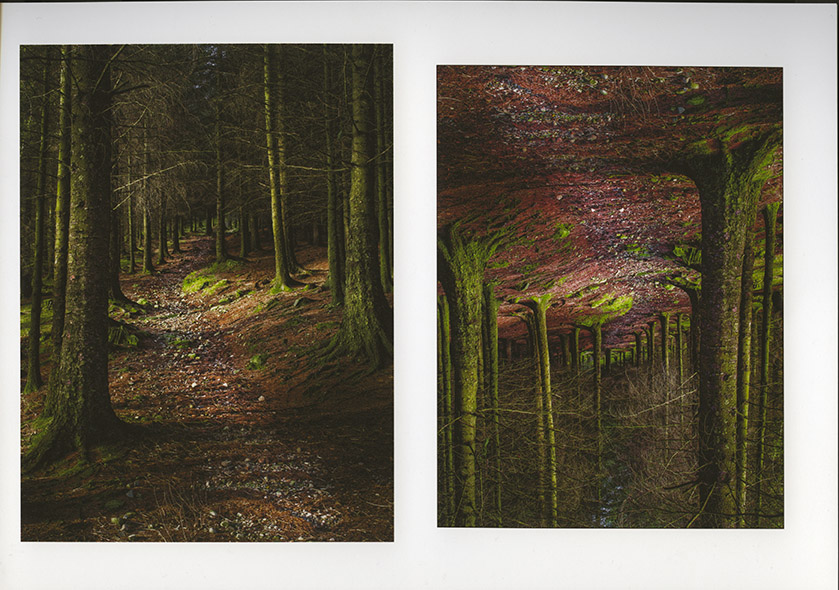 Side by side print comparison. Lightroom is on the right.